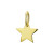 14-karaat-graveer-ster-14-x-9-8-mm