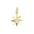 14-karaat-poolster-hanger-met-zirkonia-15-x-9-mm