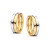 bicolor-gouden-oorringen-met-geelgouden-en-witgouden-rij-4-mm-breed-diameter-8-7-mm
