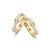 bicolor-oorringen-met-zirkonia-in-witgouden-chatonzetting