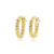 gold-plated-oorringen-met-gedraaide-buis/variant/diameter-13-mm