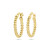 gold-plated-oorringen-met-gedraaide-buis/variant/diameter-18-mm