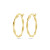 gold-plated-oorringen-met-gedraaide-en-verweven-buis-2-mm/variant/diameter-20-mm