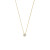 gouden-ankerketting-met-transparante-zirkonia-hanger-lengte-40-42-44-cm
