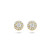 gouden-oorknopjes-met-transparante-zirkonia-5-5-mm