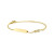 personaliseerbare-14-karaat-gouden-plaatarmband-met-zirkonia-infinity-hanger-lengte-11-13-cm