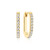 sif-jakobs-capizzi-piccolo-sj-e42209-cz-yg-zilveren-goldplated-oorringen-met-transparante-zirkonias-17-x-2-mm