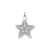 zeester-hanger-van-zilver-21857