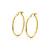 zinzi-zgo260-gouden-oorringen-cirkel-1-5-mm-breed-diameter-23-mm