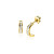 zinzi-zgo457-gouden-oorringen-met-transparante-zirkonia-2-5-mm-breed-hoogte-8-mm