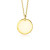 zinzi-gravures-zih2345g20-gold-plated-graveerhanger-met-ronde-vorm-20-mm-breed-hoogte-24-mm