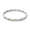 boccia-titanium-03067-02-bicolor-titanium-schakelarmband-met-staafjes-5-mm-breed-lengte-21-cm