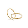 boccia-titanium-0508-09-gold-plated-titanium-oorringen-mat-diameter-40-mm