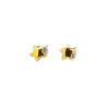 boccia-titanium-05093-02-ster-oorknopjes-van-goudkleurig-titanium-voor-kids-6-x-6-mm