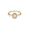 pandora-timeless-163800c01-graveerbare-ring-met-ovale-vorm-en-halo-van-zirkonia