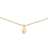 glow-202-0009-45-14-karaat-gouden-ketting-met-hanger-zirkonia-ovaal-3-mm-x-8-mm-lengte-42-5-45-cm