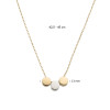 glow-202-5039-45-14-karaat-bicolor-ketting-met-ronde-hanger-in-goud-en-witgoud-13-mm-lengte-42-5-45-cm