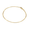glow-204-2012-19-gouden-valkenoog-schakelarmband-glanzend-2-mm-breed-lengte-19-cm
