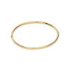 glow-204-2463-58-gouden-bangle-met-massieve-zilveren-kern-glanzend-3-mm-breed-diameter-58-mm