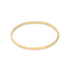 glow-204-2563-62-gouden-massieve-bangle-met-zilveren-kern-glanzend-3-mm-breed-diameter-62-mm