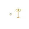 glow-206202102-gouden-ronde-oorstekers-met-briljant-geslepen-zirkonia-diameter-2-mm