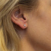 glow-206302204-gouden-oorstekers-met-transparante-zirkonia-diameter-4-mm