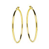 glow-207002044-gouden-oorringen-klassiek-2-mm-breed-diameter-44-mm
