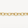 blush-2255ygo-gouden-jasseron-schakelarmband-bewerkt-en-glad-5-6-mm-breed-lengte-18-5-cm