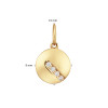 glow-220-0100-00-14-karaat-gouden-ronde-hanger-met-steen-zirkonia-transparant-hoogte-15-mm