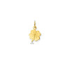 glow-230-0039-00-gouden-klavertje-vier-hanger-met-glanzende-afwerking-hoogte-14-mm