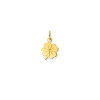 glow-230-0039-00-gouden-klavertje-vier-hanger-met-glanzende-afwerking-hoogte-14-mm