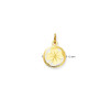 glow-230-0041-00-14-karaat-gouden-ronde-hanger-met-gediamanteerde-klavertje-vier-diameter-12-mm