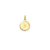 glow-230-0041-00-14-karaat-gouden-ronde-hanger-met-gediamanteerde-klavertje-vier-diameter-12-mm