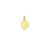 glow-241-0075-00-14-karaat-gouden-kinderhanger-jongensgezicht-met-glanzende-afwerking-10-mm-breed