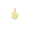 glow-241-0076-01-14-karaat-gouden-glanzende-kinderkopjeshanger-met-persoonlijke-uitstraling-hoogte-15-mm