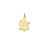 glow-241-0076-01-14-karaat-gouden-glanzende-kinderkopjeshanger-met-persoonlijke-uitstraling-hoogte-15-mm