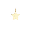 glow-242-0050-15-14-karaat-gouden-graveerhanger-in-stervorm-zonder-steen-hoogte-15-mm