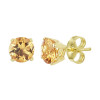 citrien-oorknopjes-goud