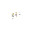 creoolhangers-van-goud-met-zirkonia-s