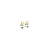 creoolhangers-van-goud-met-zirkonia-s