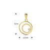 gouden-hanger-met-dubbele-rondjes-en-zirkonia