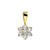 gouden-hanger-zirkonia-rozet