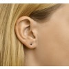 gouden-oorbellen-saffier-oorknopjes