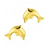 gouden-oorknopjes-dolfijn