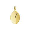 medaillon-goud-ovaal-mat-en-glans