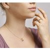 ronde-gouden-hanger-zirkonia