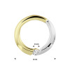 ronde-gouden-hanger-zirkonia