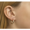 setje-creolen-van-echt-goud-2-5-mm