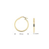 14-karaat-geelgouden-oorringen-23-5-mm