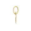 14-karaat-gouden-sterrenbeeld-hanger-rond-diameter-6-mm